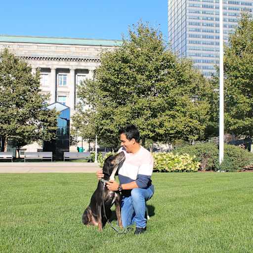 Profile image for pet sitter Sushant