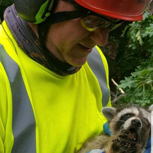 Profile image for pet sitter James