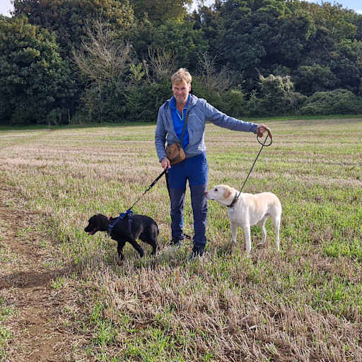 Profile image for pet sitter Gary