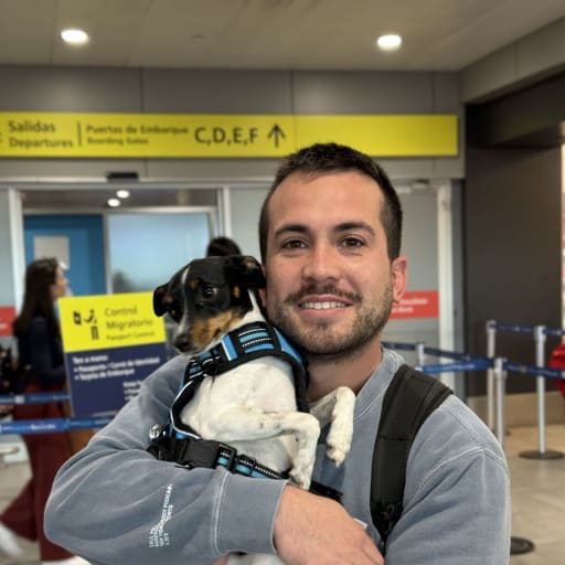 Profile image for pet sitter Stefano