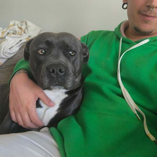 Profile image for pet sitter Tim