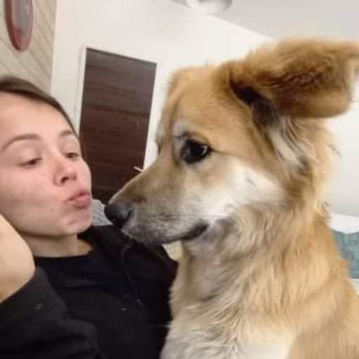 Profile image for pet sitter Elizabeth-Marie