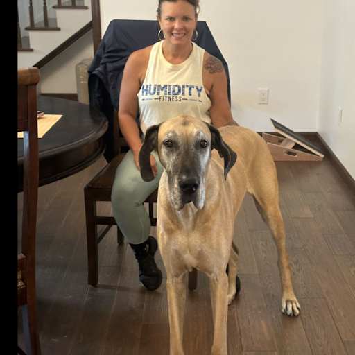 Profile image for pet sitter Kristi