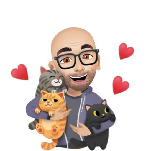 Profile image for pet sitter Yigal