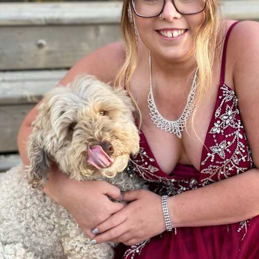 Profile image for pet sitter Brett
