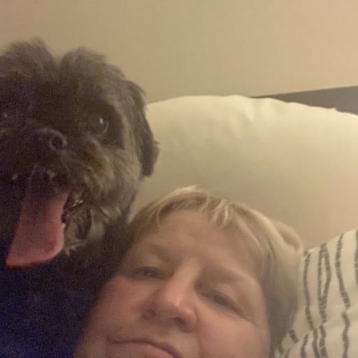 Profile image for pet sitter Kathy