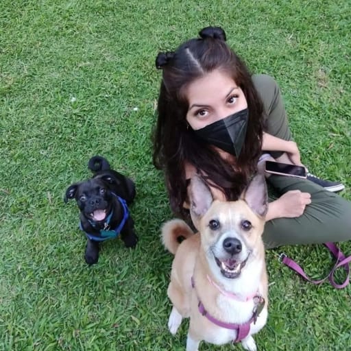 Profile image for pet sitter Marcia