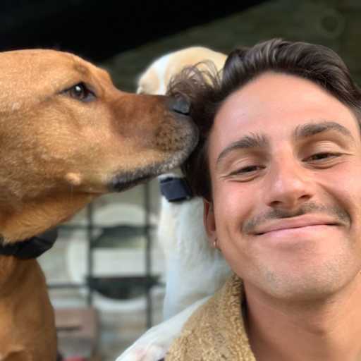 Profile image for pet sitter Evan