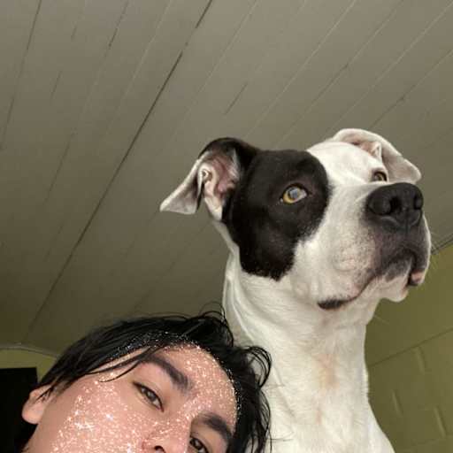 Profile image for pet sitter Felipe