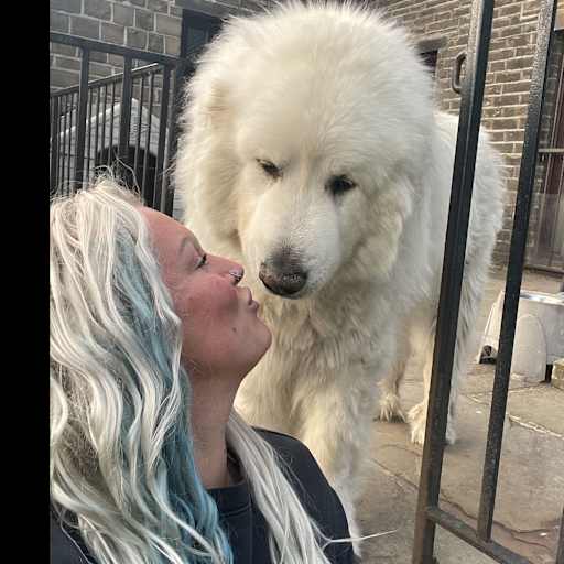 Profile image for pet sitter Chloebeth