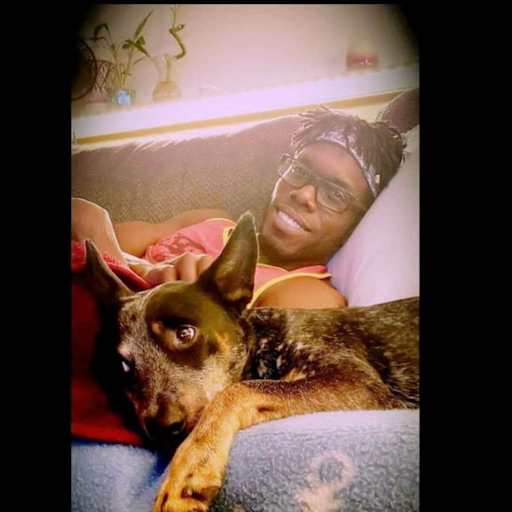 Profile image for pet sitter H Lee