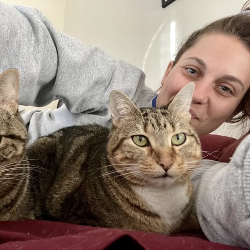 Profile image for pet sitter Kelsey