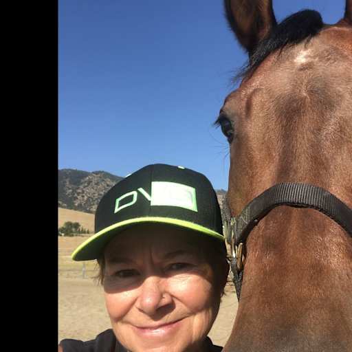 Profile image for pet sitter tracy