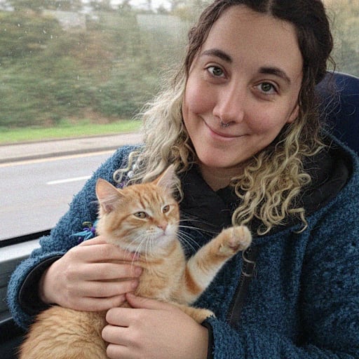 Profile image for pet sitter Nyx