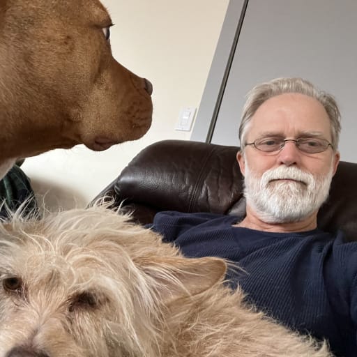 Profile image for pet sitter danielswanson