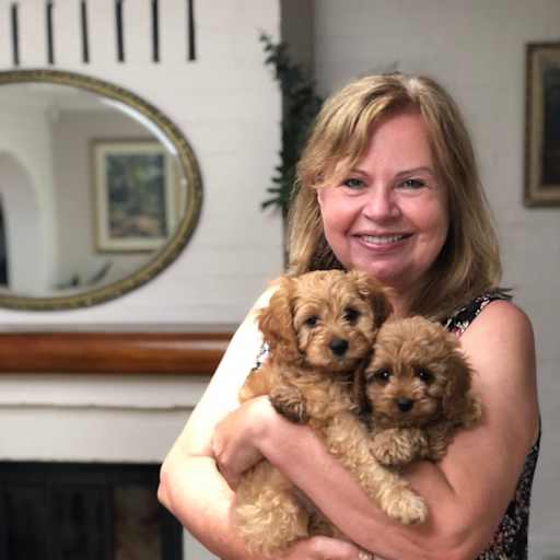 Profile image for pet sitter Eva