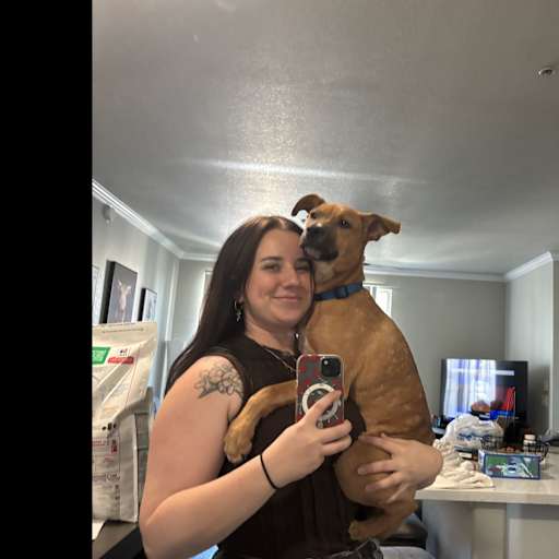 Profile image for pet sitter Taylor
