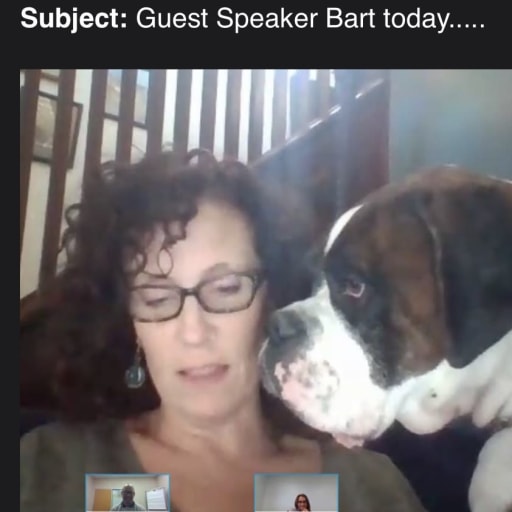 Profile image for pet sitter Cynthia