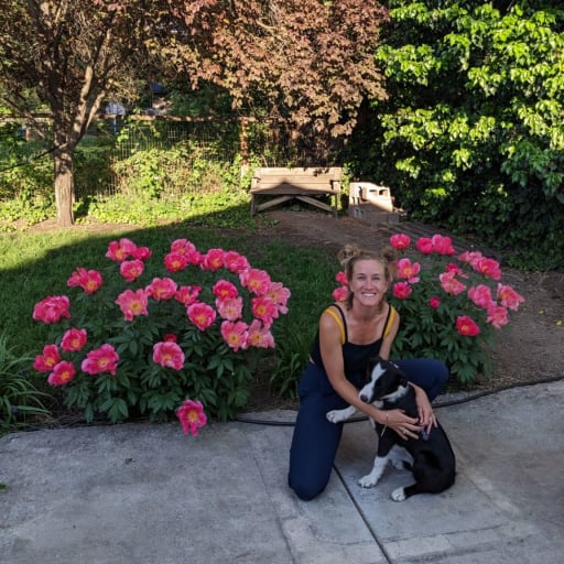 Profile image for pet sitter bronwyn