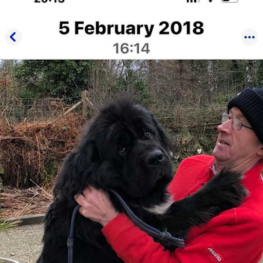 Profile image for pet sitter Philip upton