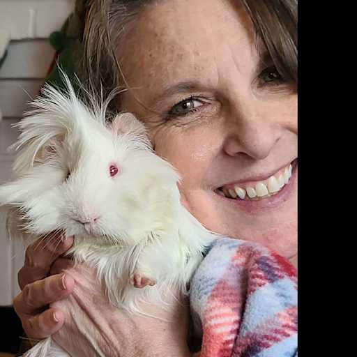 Profile image for pet sitter Sharie