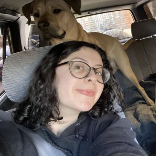 Profile image for pet sitter Ariana