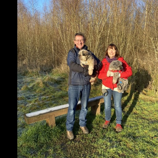 Profile image for pet sitters JOANNA & Jonathan 