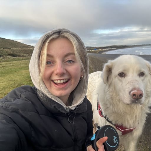 Profile image for pet sitter Charlotte