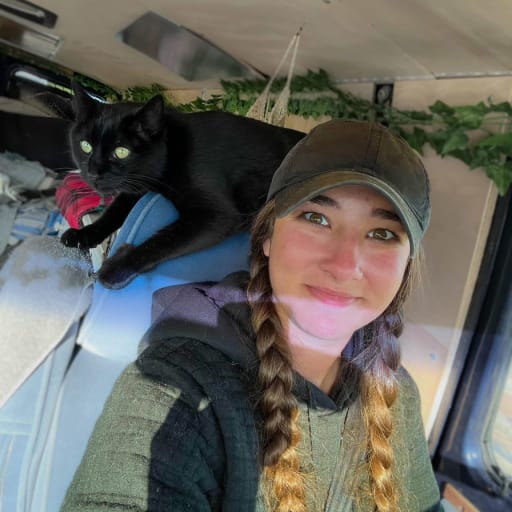 Profile image for pet sitter Cassie