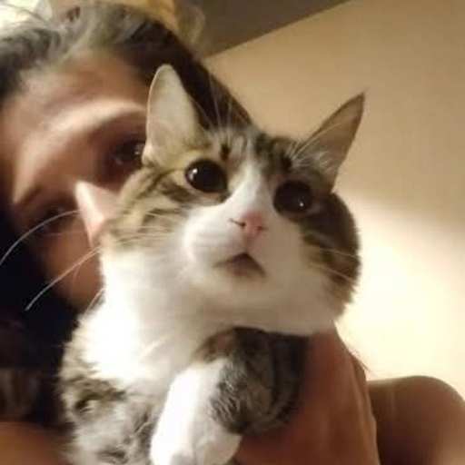 Profile image for pet sitter Lilu