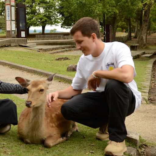 Profile image for pet sitters Tomas & Emilia