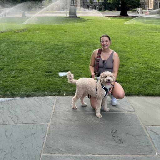 Profile image for pet sitter Rachel