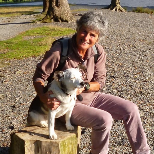 Profile image for pet sitter Ruth