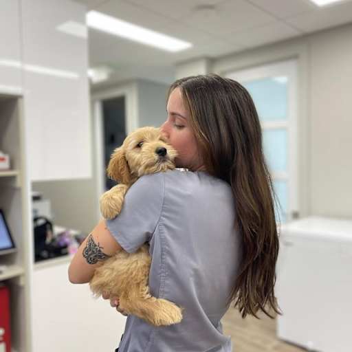 Profile image for pet sitter Rebecca