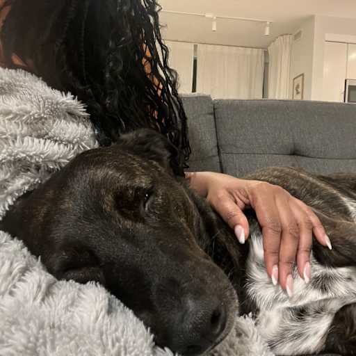 Profile image for pet sitter Marie