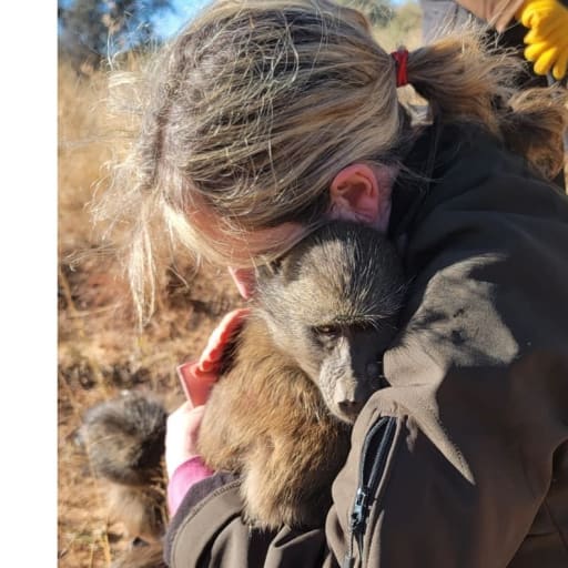 Profile image for pet sitter Edel