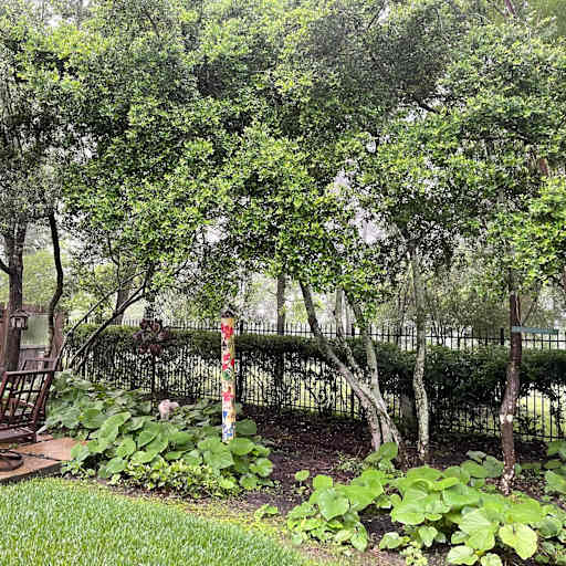 Profile image for pet sitters Robyn & Russ