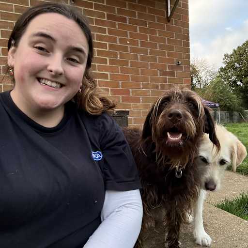 Profile image for pet sitter Maddy