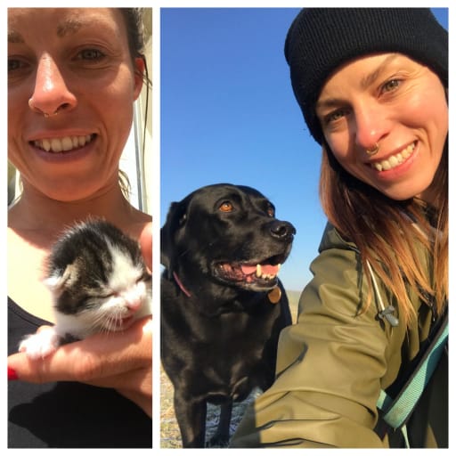 Profile image for pet sitter Flik