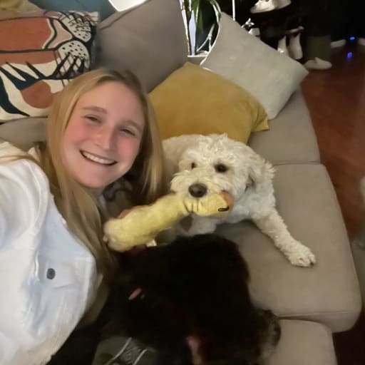 Profile image for pet sitter Mariah