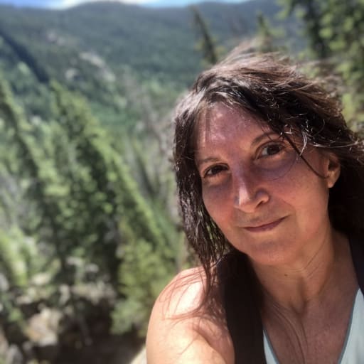 Profile image for pet sitter Wendy