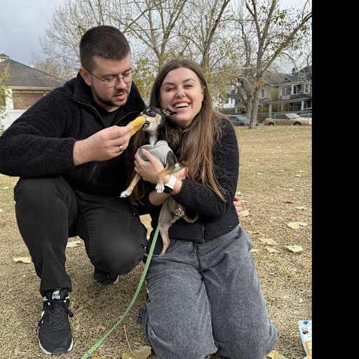 Profile image for pet sitters Alona & Bohdan