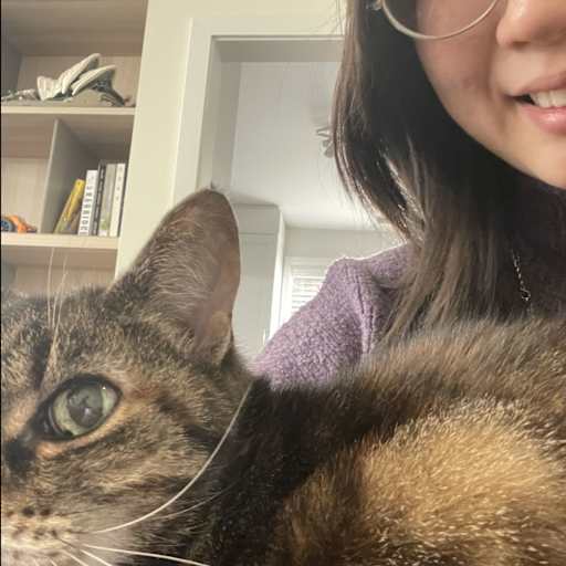 Profile image for pet sitter nokyee