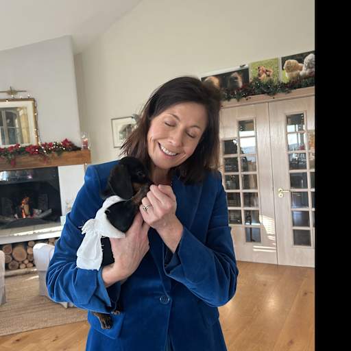 Profile image for pet sitter Kate