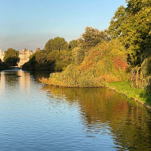 Profile image for pet sitter Antonia