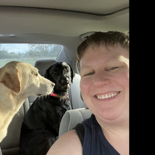 Profile image for pet sitter Nikki