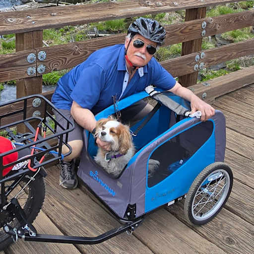 Profile image for pet sitter George