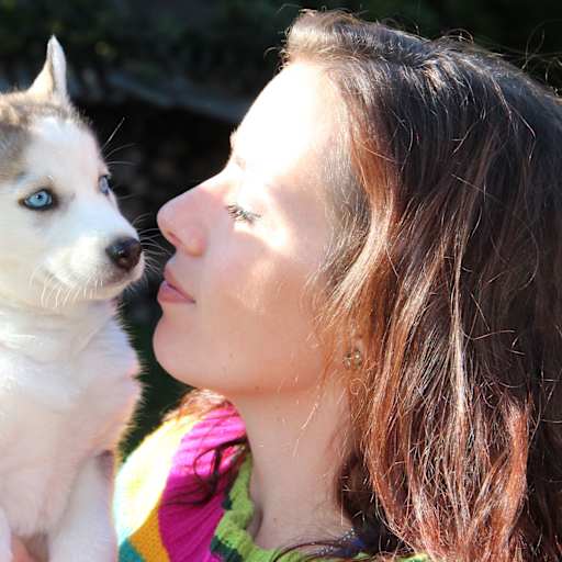 Profile image for pet sitter Linda