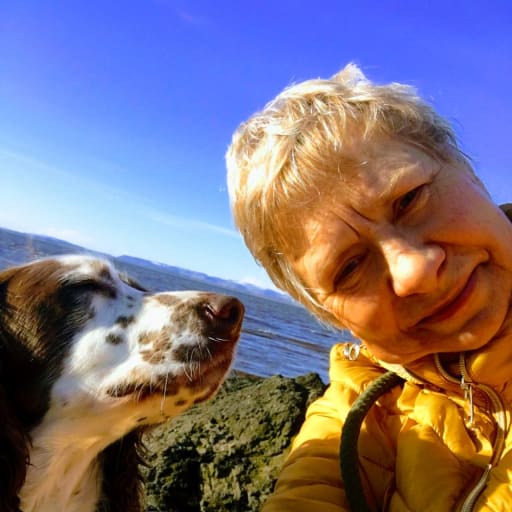 Profile image for pet sitter Amanda