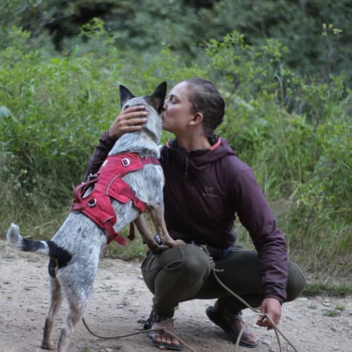 Profile image for pet sitters Alissa & Dean